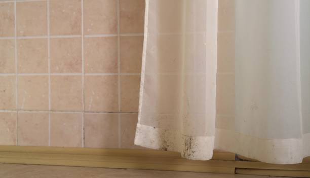 Best Comprehensive Air Testing for Mold Contaminants  in Kenwood Estates, FL