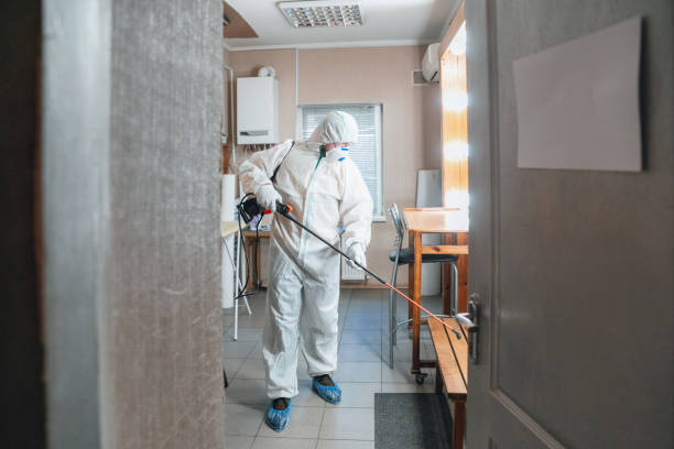 Best Mold Remediation for Vacation Homes  in Kenwood Estates, FL
