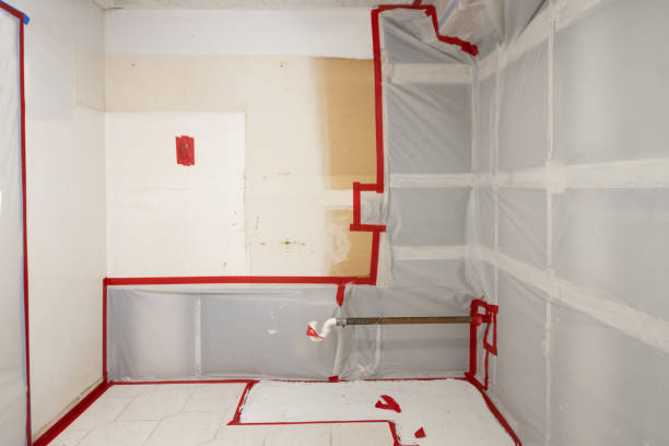 Best Mold Remediation for Healthcare Facilities  in Kenwood Estates, FL