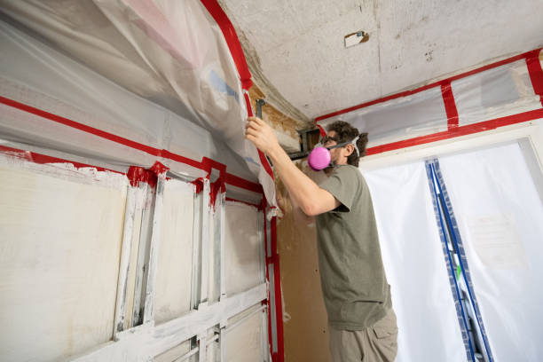 Best Mold Odor Removal Services  in Kenwood Estates, FL