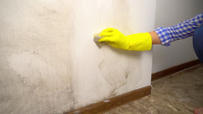 Best Asbestos and Lead Testing During Mold Inspection  in Kenwood Estates, FL