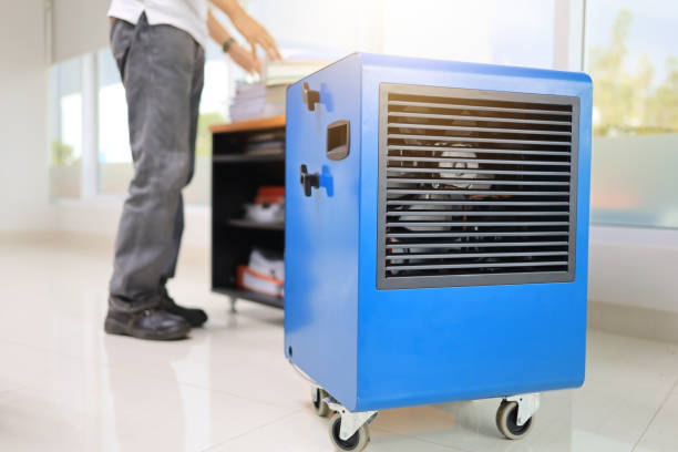 Best Mold Removal for HVAC Installations  in Kenwood Estates, FL