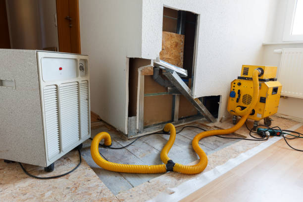 Best Forensic Mold Investigation  in Kenwood Estates, FL